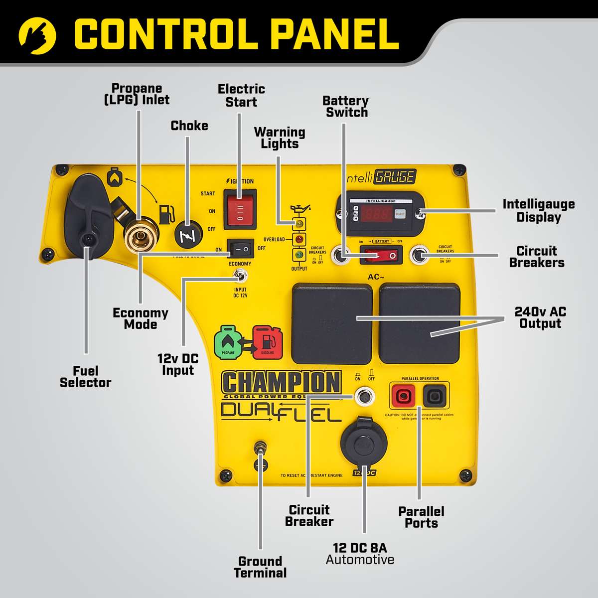Champion 3500 Watt LPG Dual Fuel Inverter Generator